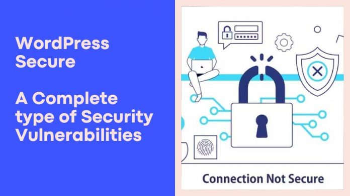 WordPress Secure - A Complete type of Security Vulnerabilities